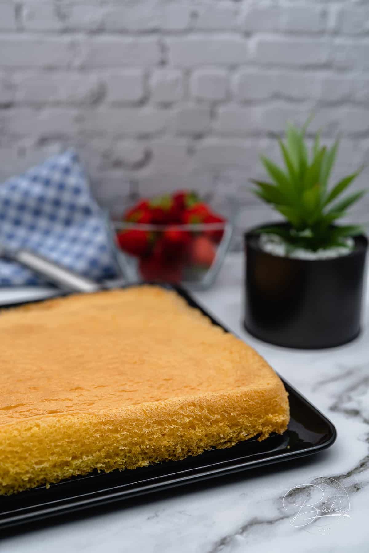 Biskuitkuchen ohne Mehl - glutenfreier Kuchenboden - Vanillepudding Kuchen